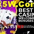 955Bet Salvador - Promo Stats